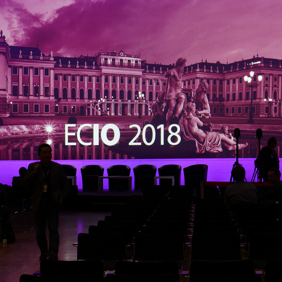 meta-fusion_CIRSE-ECIO_2018_3