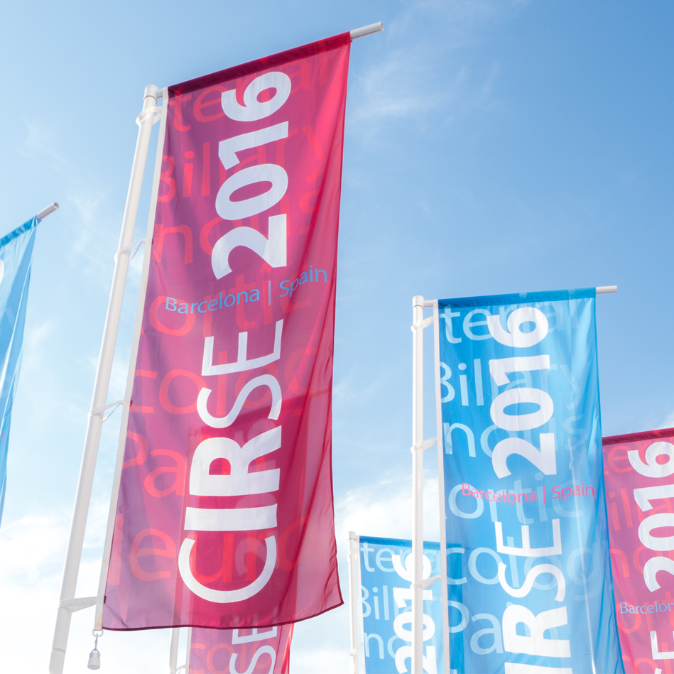 meta-fusion_CIRSE_2016_1